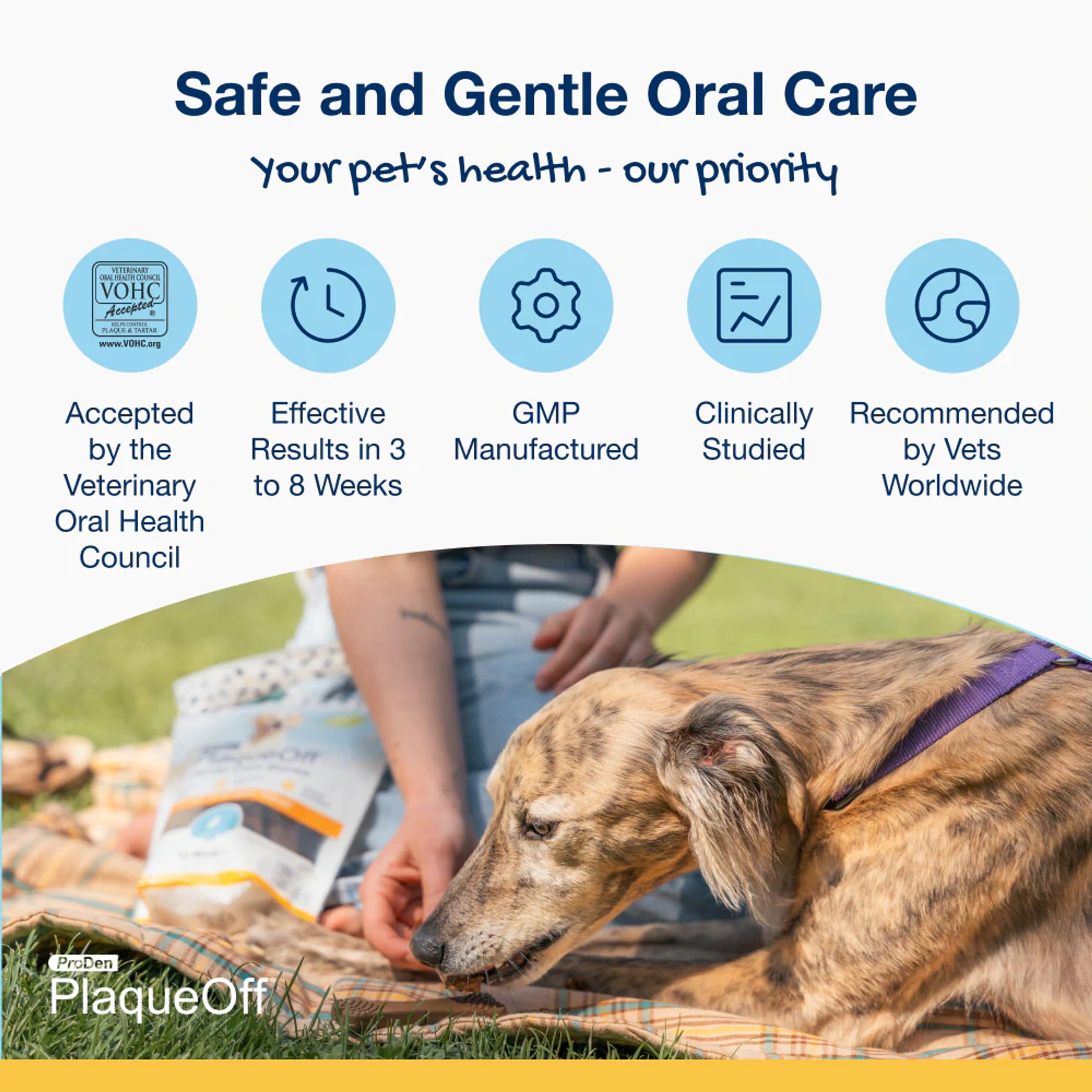 ProDen PlaqueOff System Bones package-back reveals natural, grain-free ingredients for healthy snacking