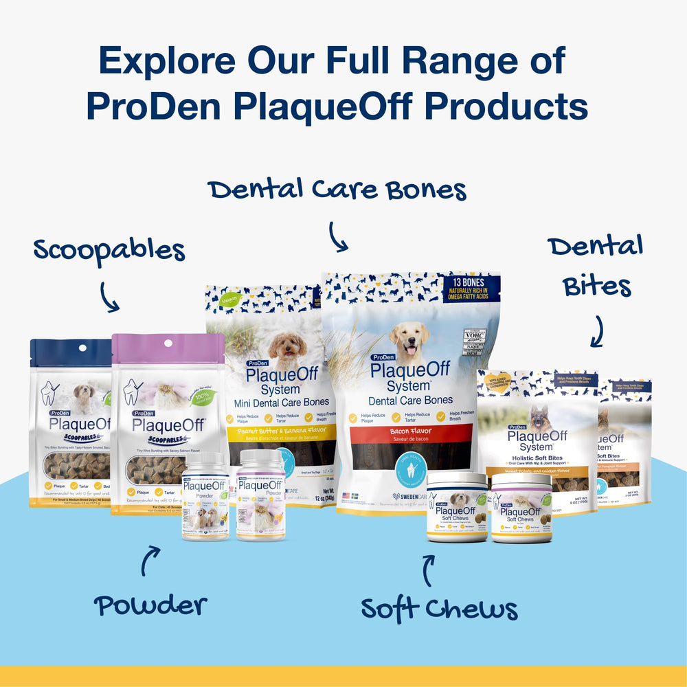 ProDen PlaqueOff powder tub with scoop emphasizes natural kelp origin.