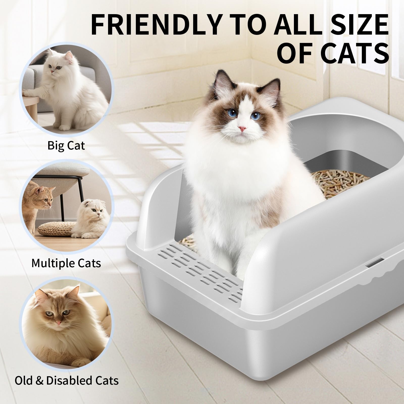 Prodigen litter mat filters litter from paws and floor