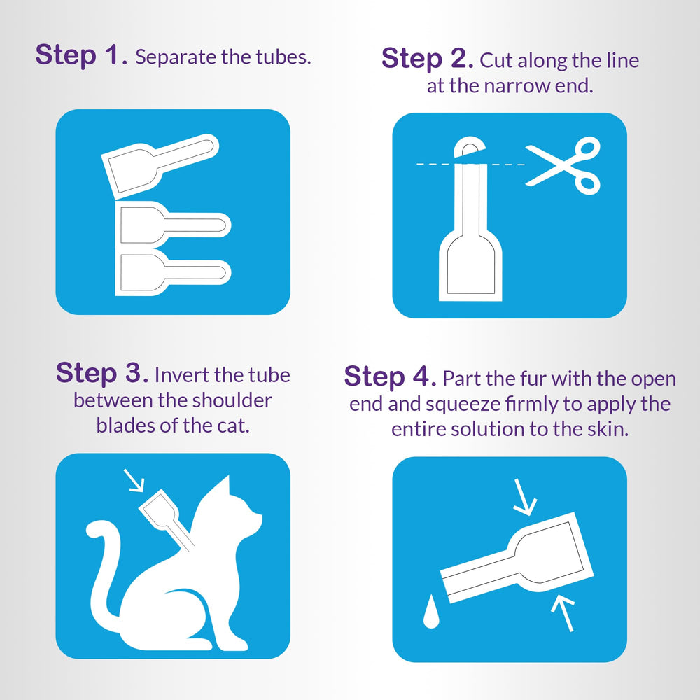 ProElobara indicates cats can bathe after 24–48 hours without losing efficacy.