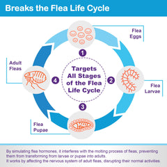 ProElobara protection lasts up to 30 days for ongoing flea and tick defense.
