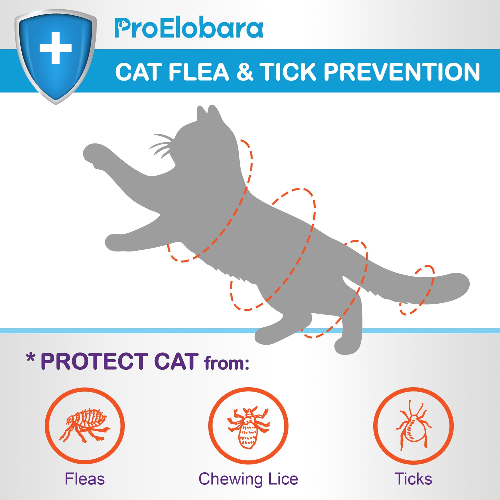 ProElobara waterproof activation shown 24–48 hours after application for continued protection during baths.