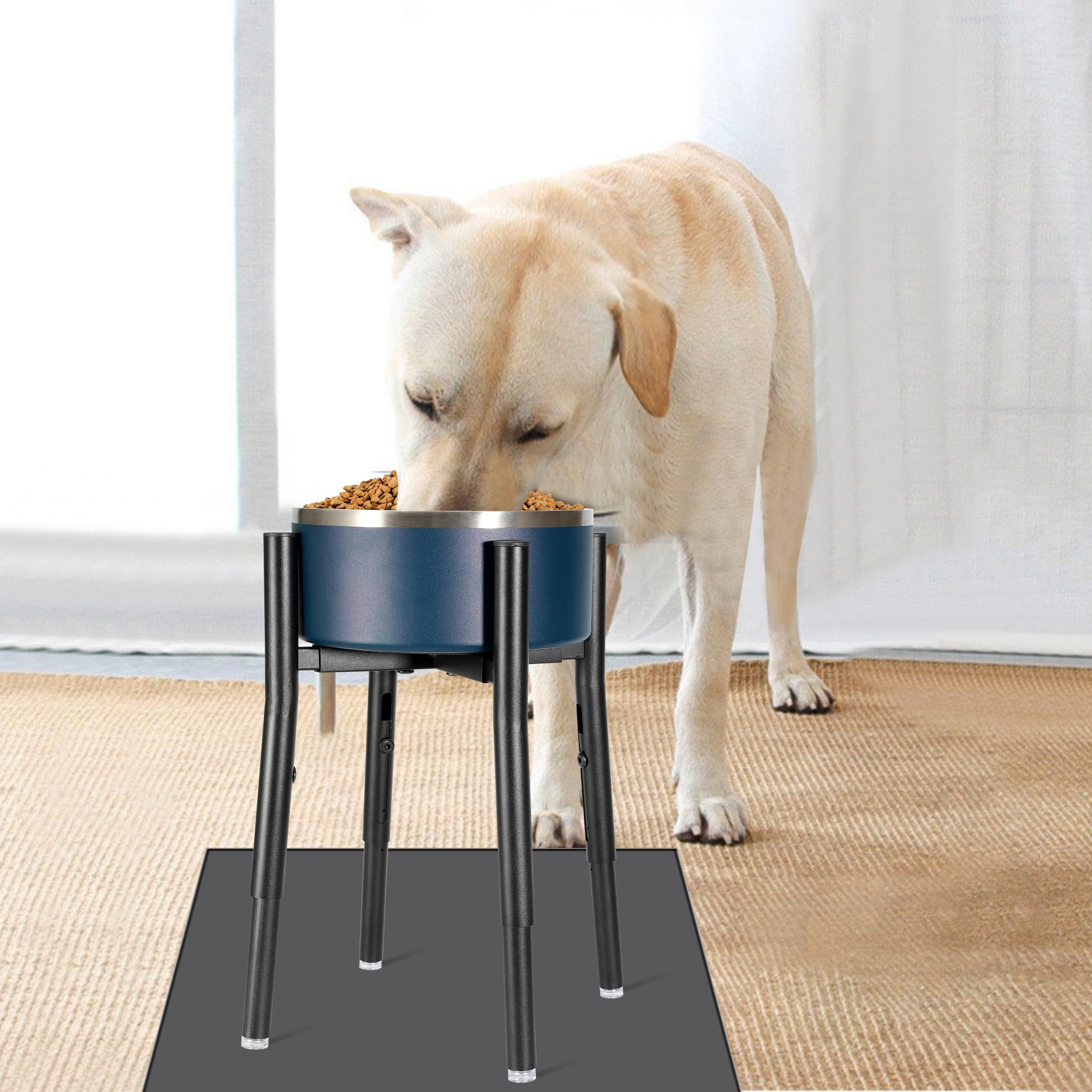 PROERR dog bowl stand offers an ergonomic feeding setup for better posture.