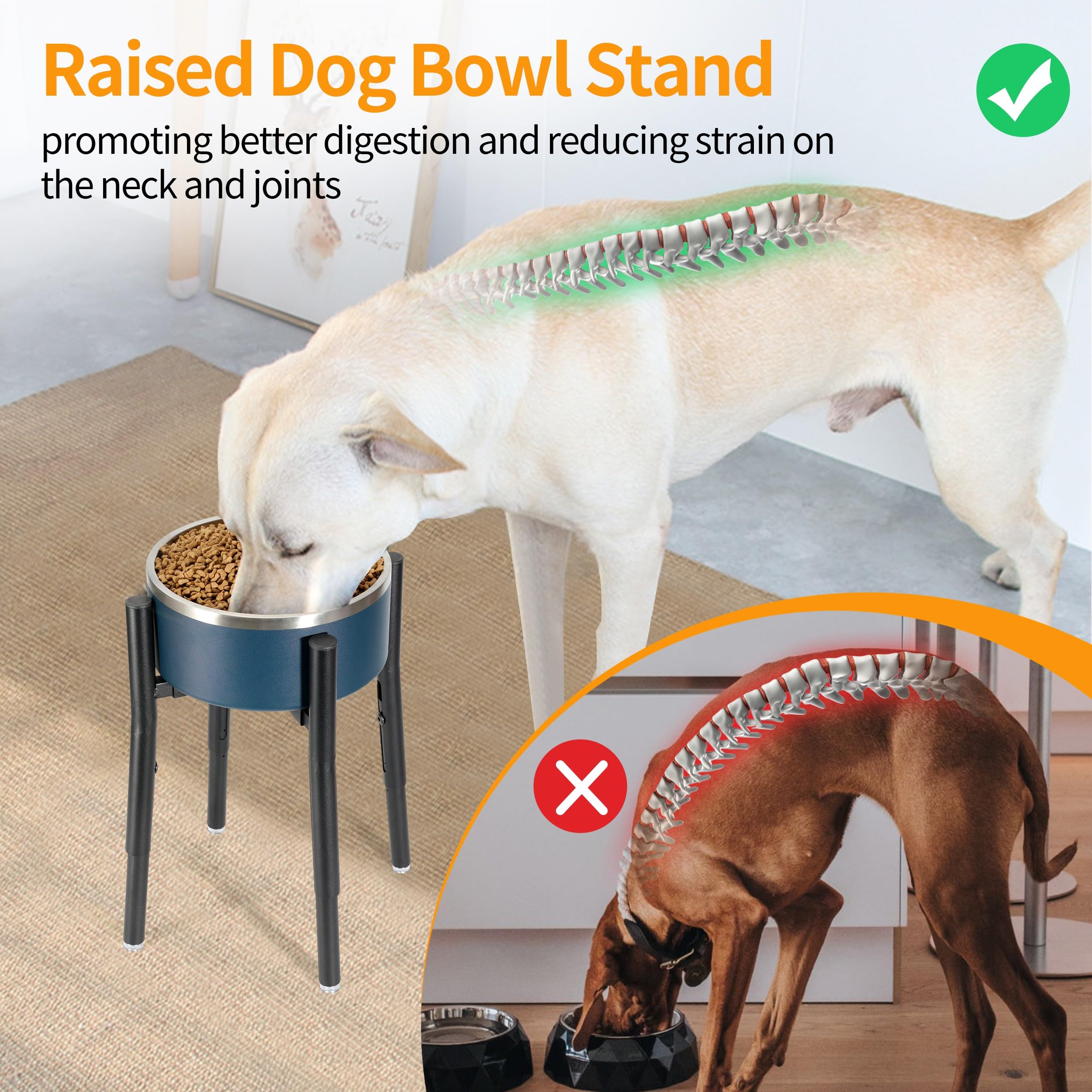 PROERR dog bowl stand is ideal for large dogs, aiding comfortable feeding.