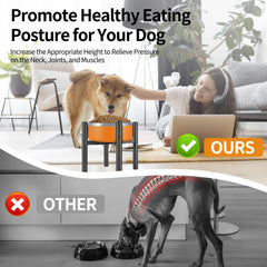 PROERR Lifted Dog Bowl Stand anti-slip feet keep bowls secure on the floor.