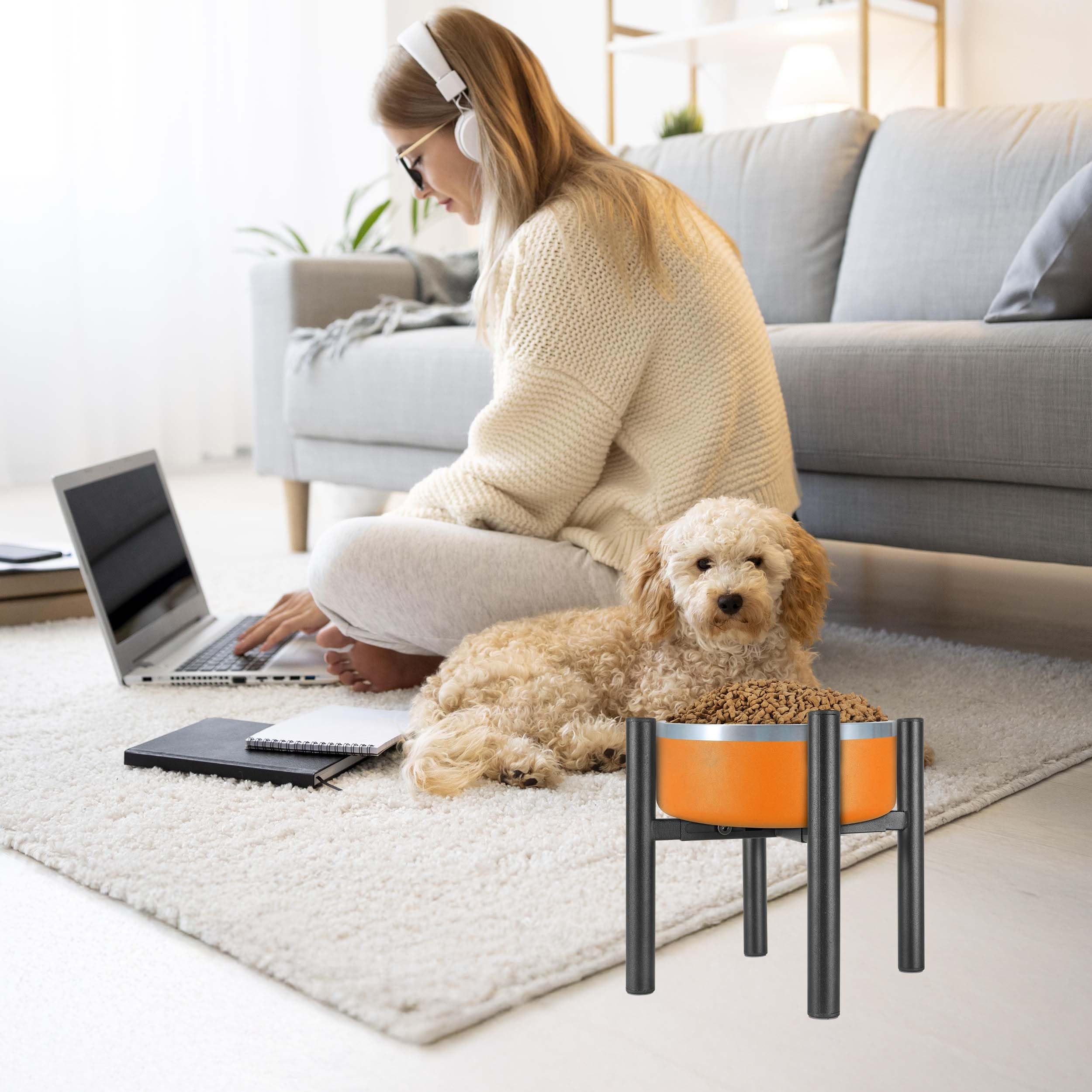 PROERR Lifted Dog Bowl Stand includes screws and tools for quick assembly.