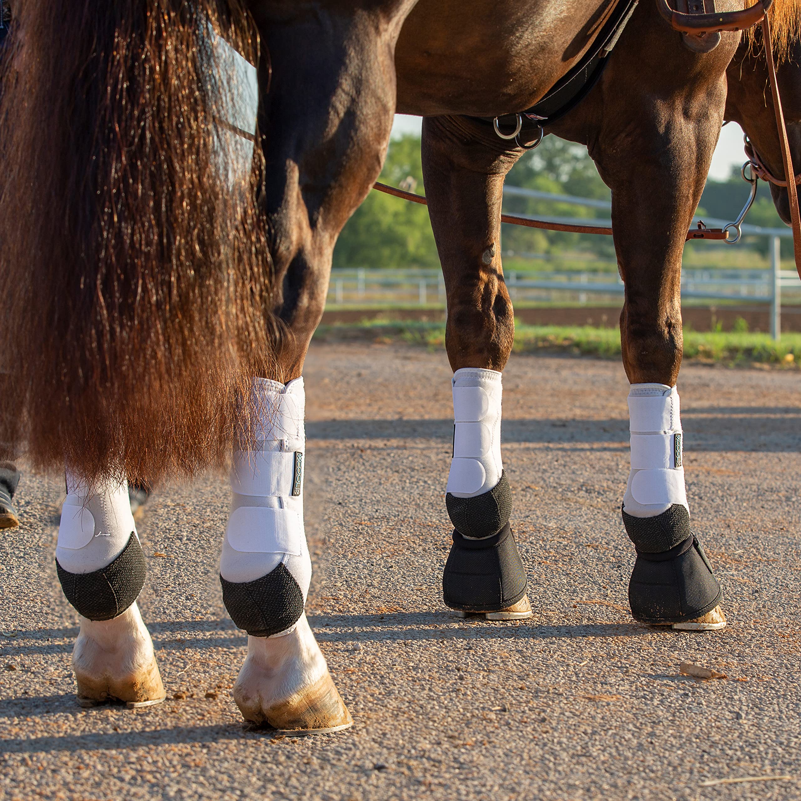 Professional's Choice 2XCool medium white boots shown on a horse silhouette.