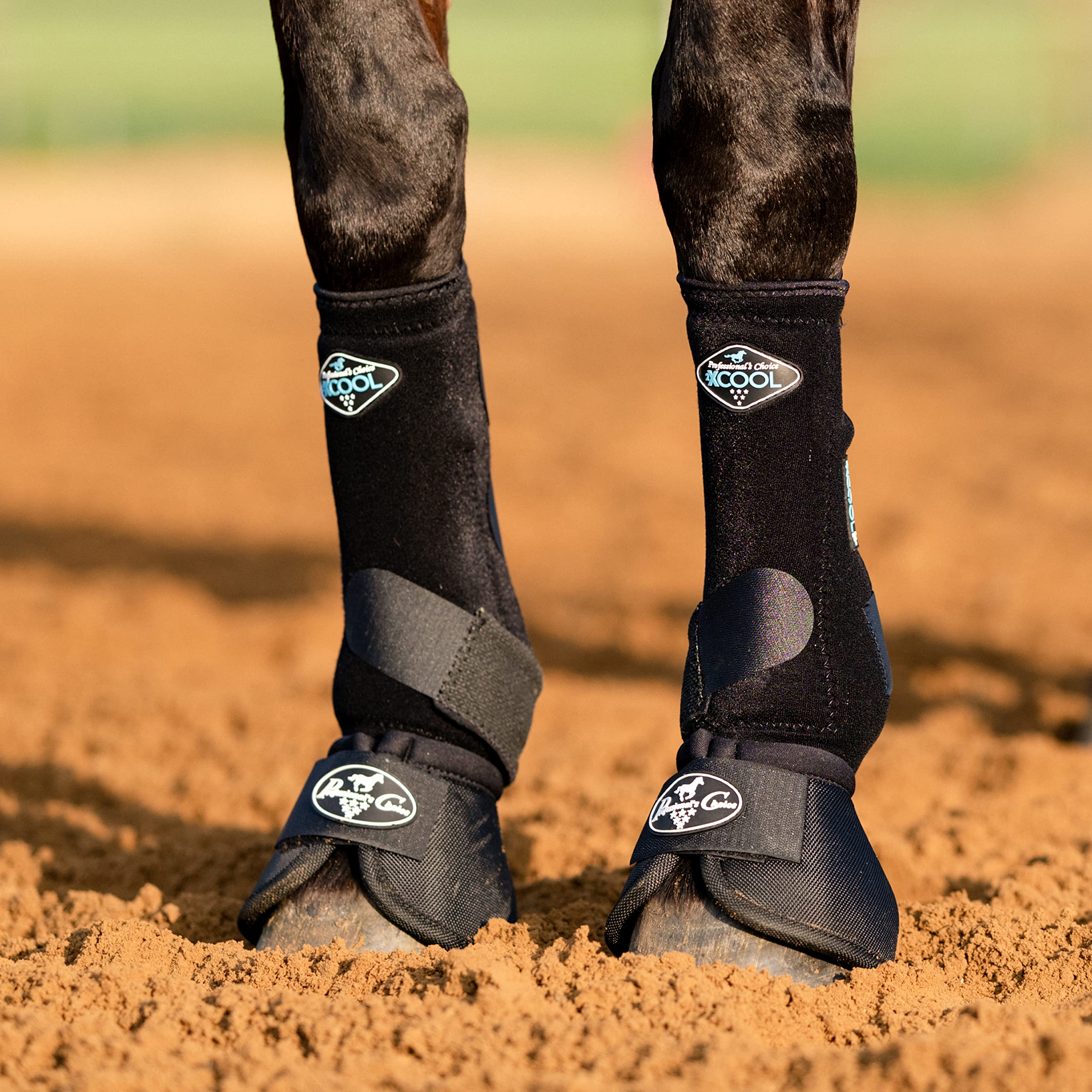 Professional's Choice boot in black demonstrates versatile, low-profile protection.