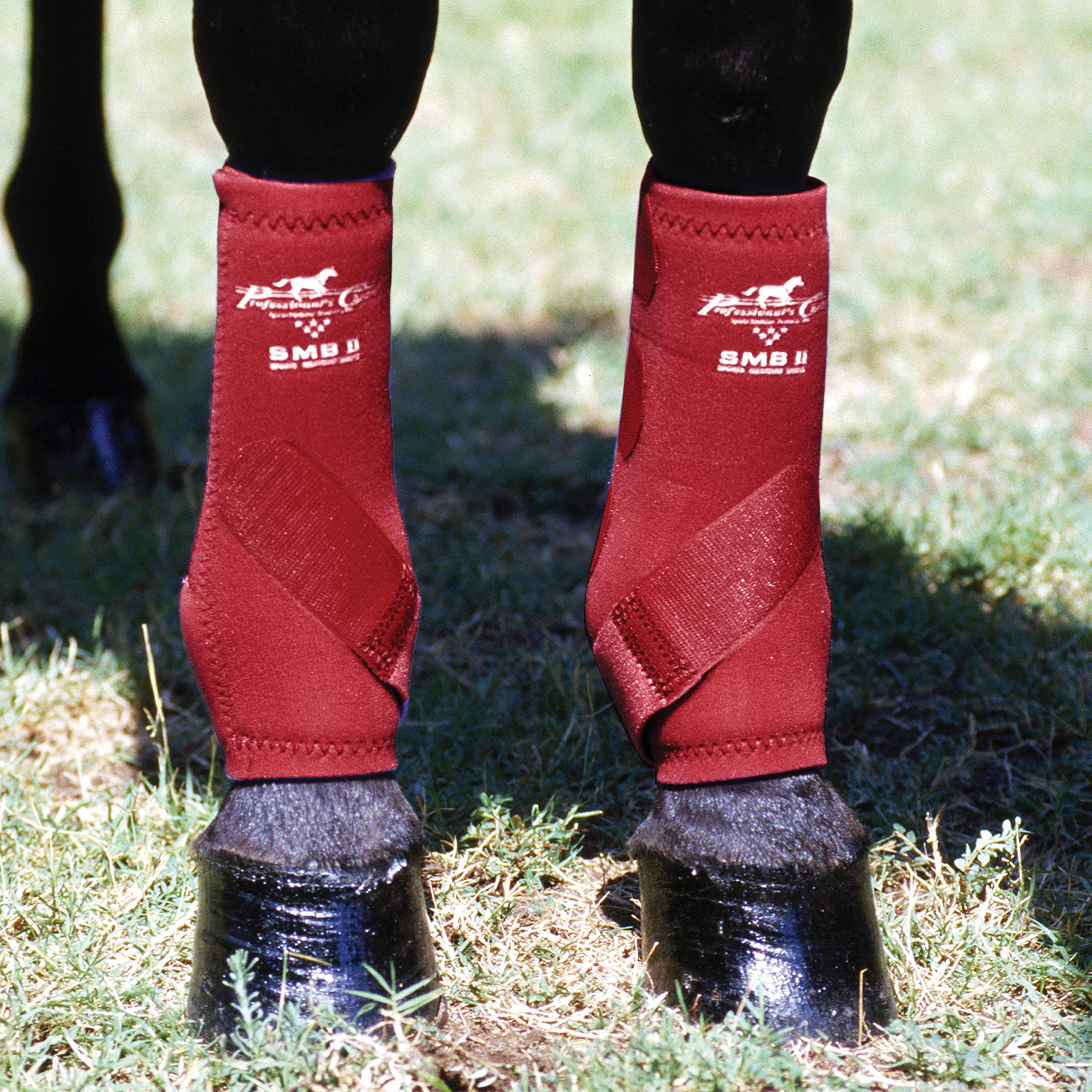 Professional's Choice SMBII crimson large closeup strap highlights secure fit and reliable construction