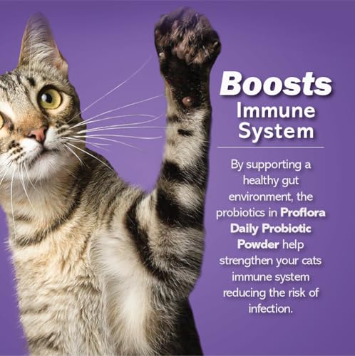 Proflora Cats diet-transition mix being added to meals