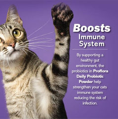 Proflora Cats diet-transition mix being added to meals