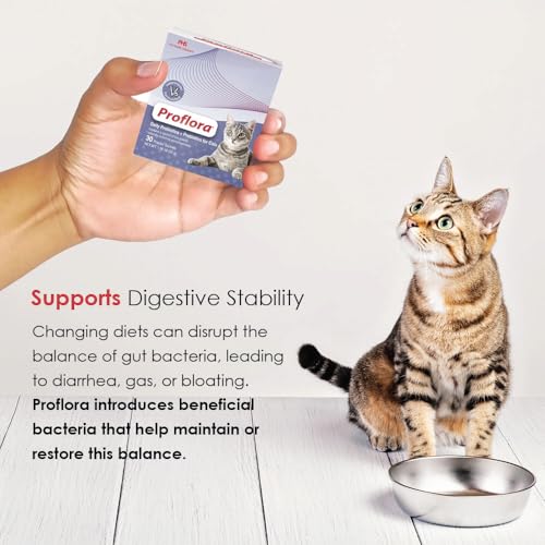 Proflora Cats probiotic powder mixed into kibble for daily use