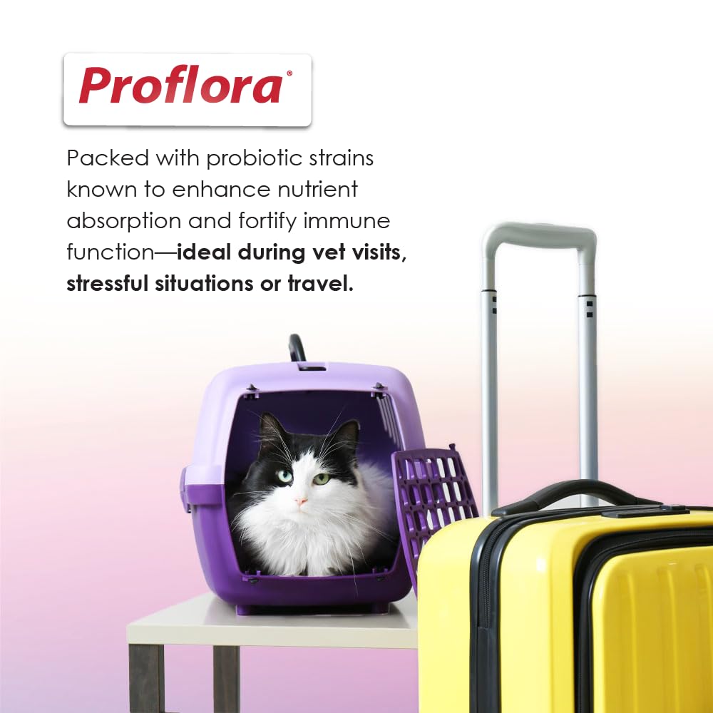 Proflora Cats prebiotic ingredients concept for gut flora balance