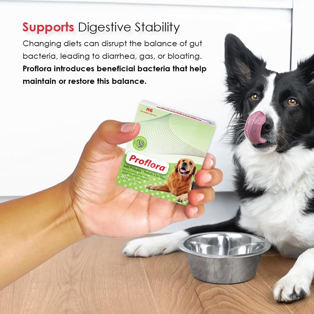 Proflora multi-strain blend enhances nutrient absorption through balanced gut flora.