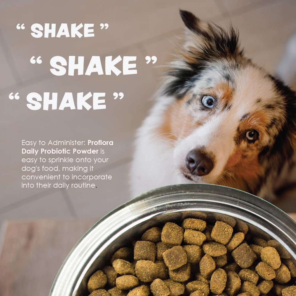 Proflora powder is palatable and well-tolerated by dogs.