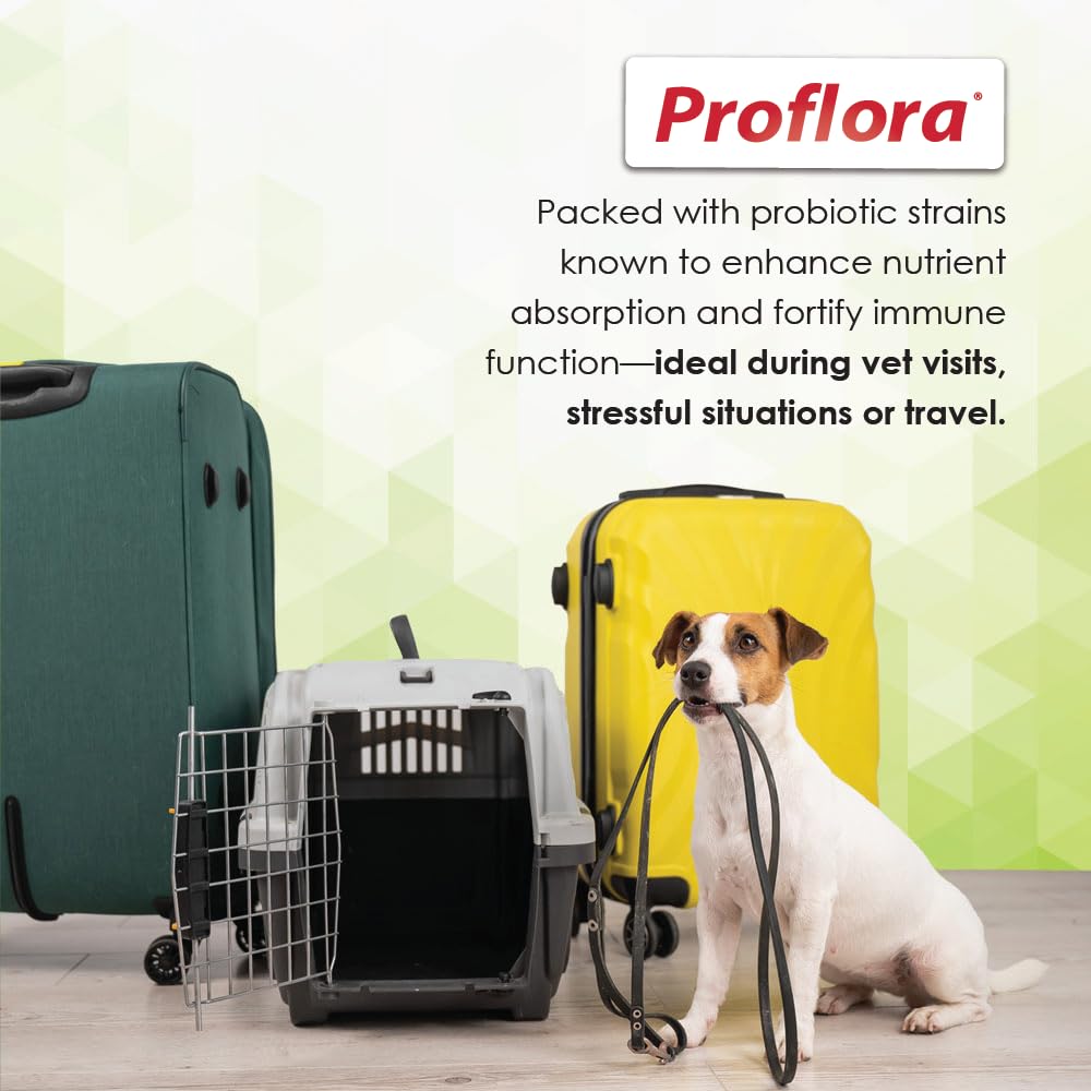 Proflora vet-recommended probiotic for dogs supports daily digestive wellness.
