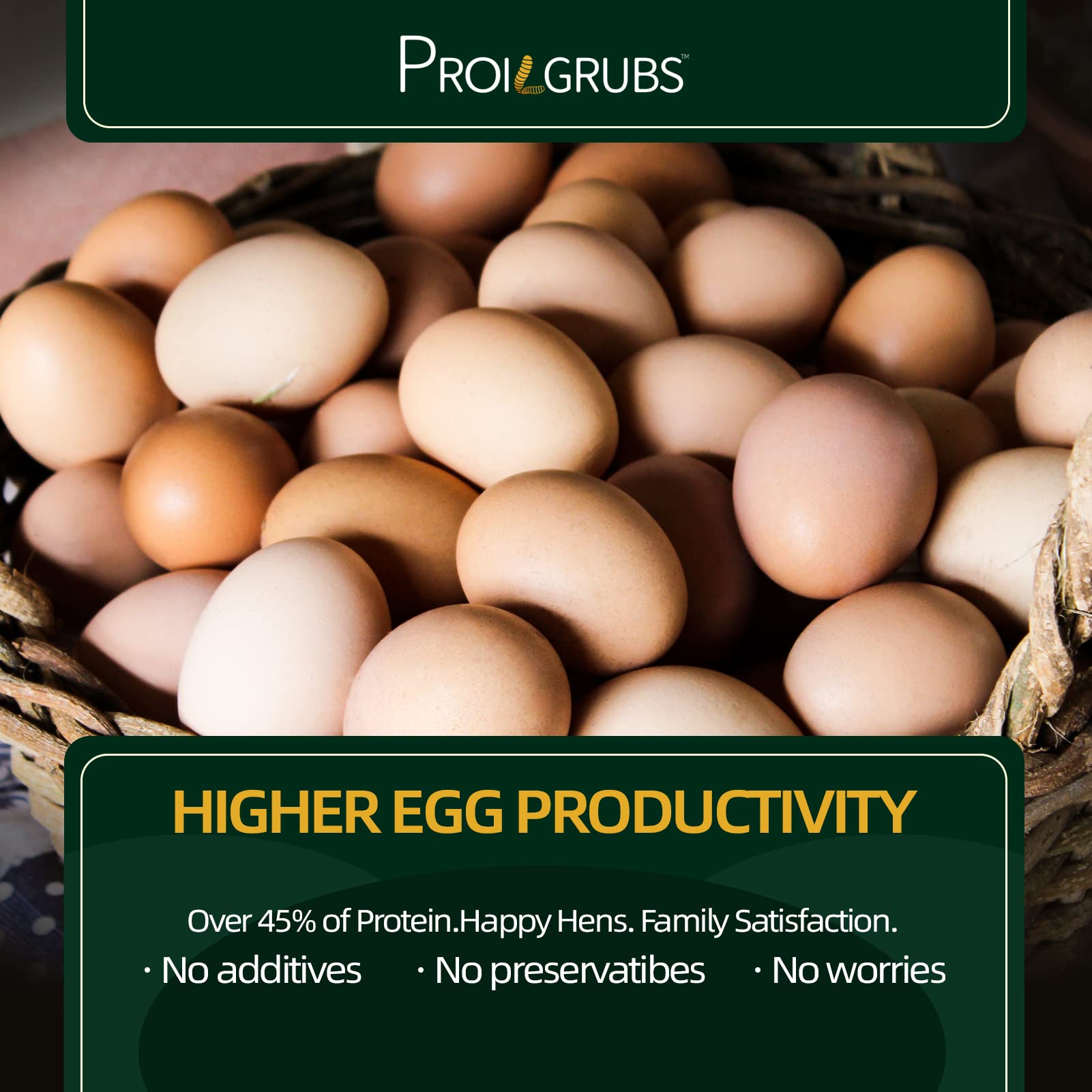 PROILGRUBS eggs with calcium enriched shells from BSFL nutrition.