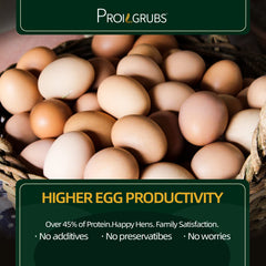 PROILGRUBS eggs with calcium enriched shells from BSFL nutrition.