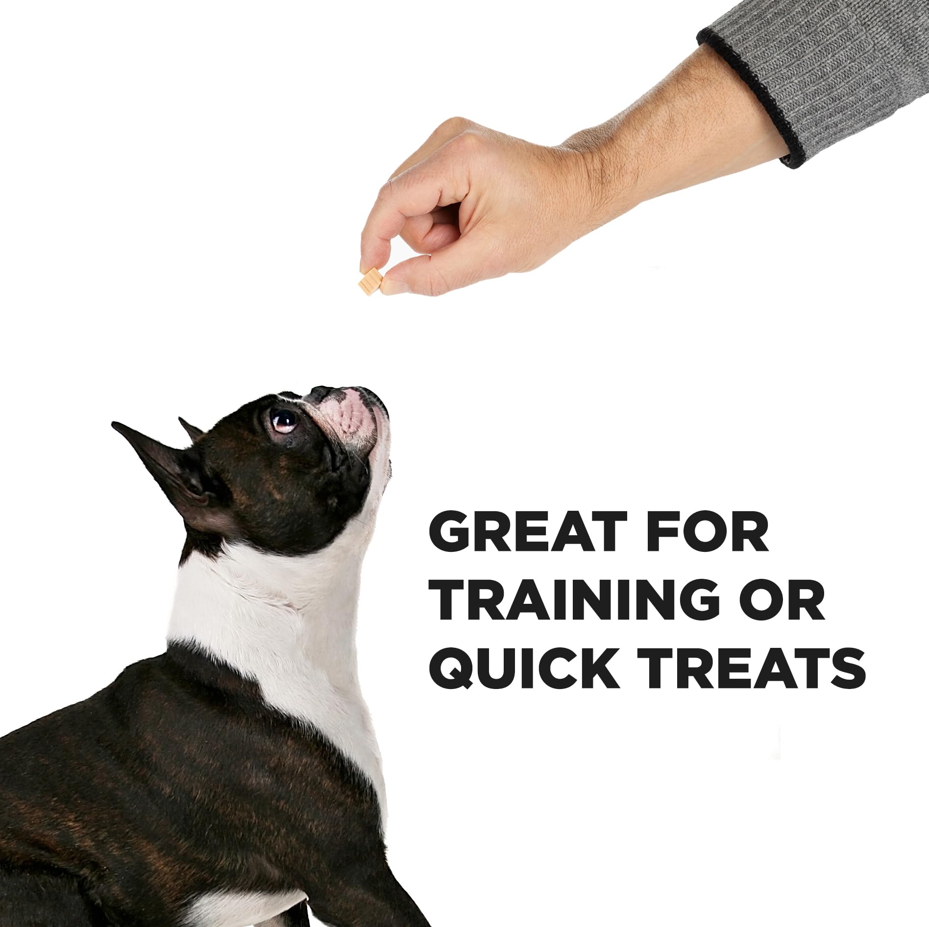 PROJECT HIVE hive dog training treats soft texture ideal for puppy training sessions