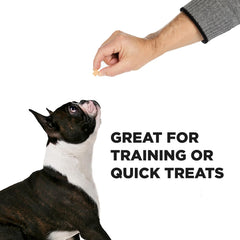 PROJECT HIVE hive dog training treats soft texture ideal for puppy training sessions