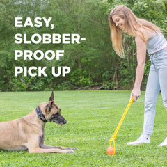 Project Hive looped dog ball orange tug action in play