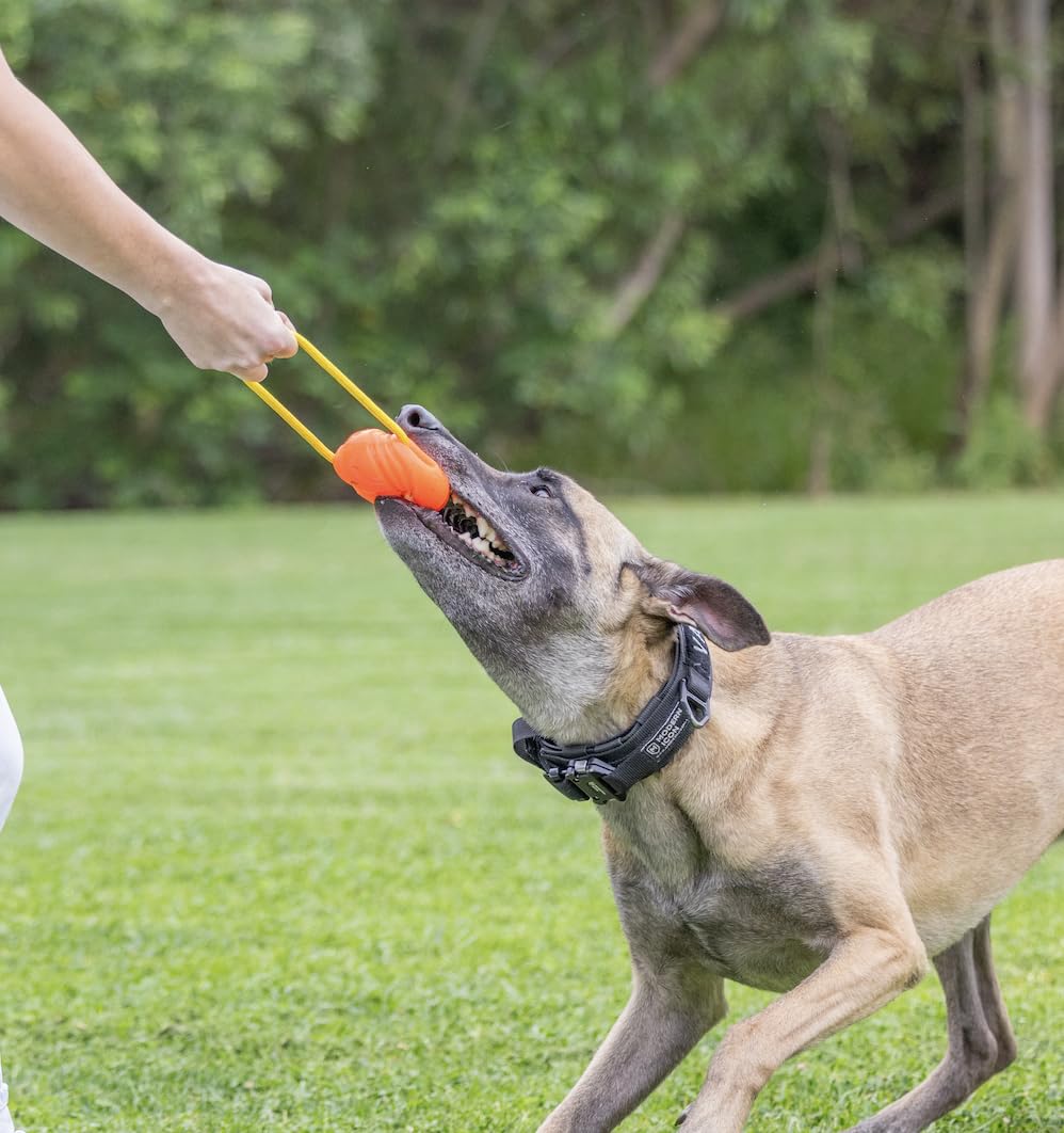 Project Hive looped dog ball orange BPA-free recyclable material close-up