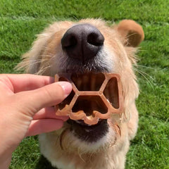 Project Hive Non-GMO Project Verified dog chews signal quality and safety.