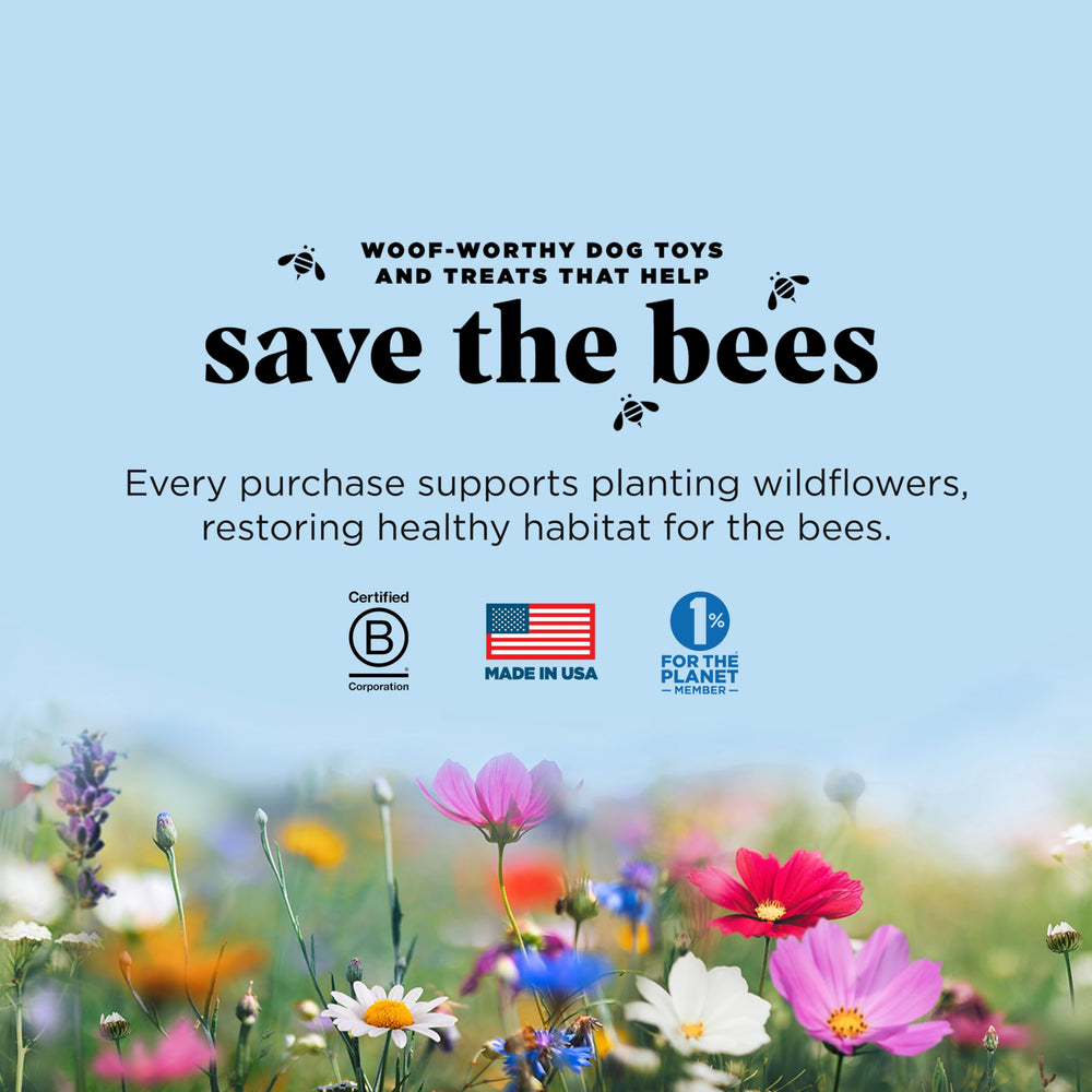 Project Hive USA-made assembly line image showing domestic production and quality control.