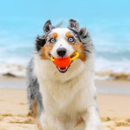 Project Hive looped ball orange compatible for effortless throwing with Hive Zoomer