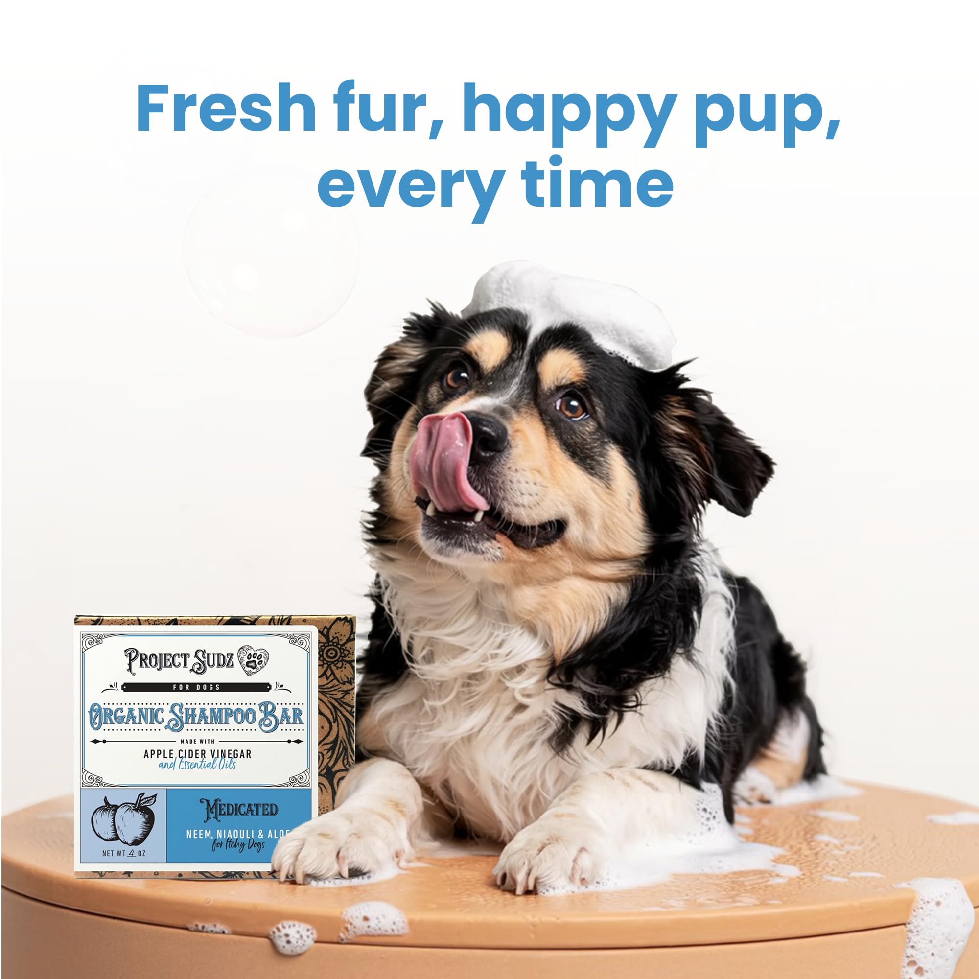Project Sudz medicated-dog-shampoo-bar-lather-closeup demonstrates gentle cleansing.