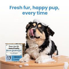 Project Sudz medicated-dog-shampoo-bar-lather-closeup demonstrates gentle cleansing.