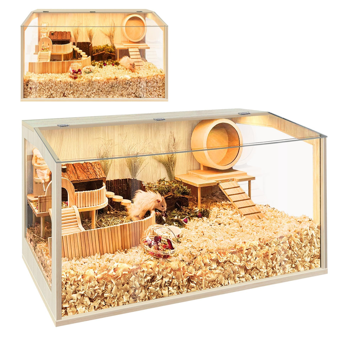PROLEE hamster cage with openable top and clear view for easy observation and interaction