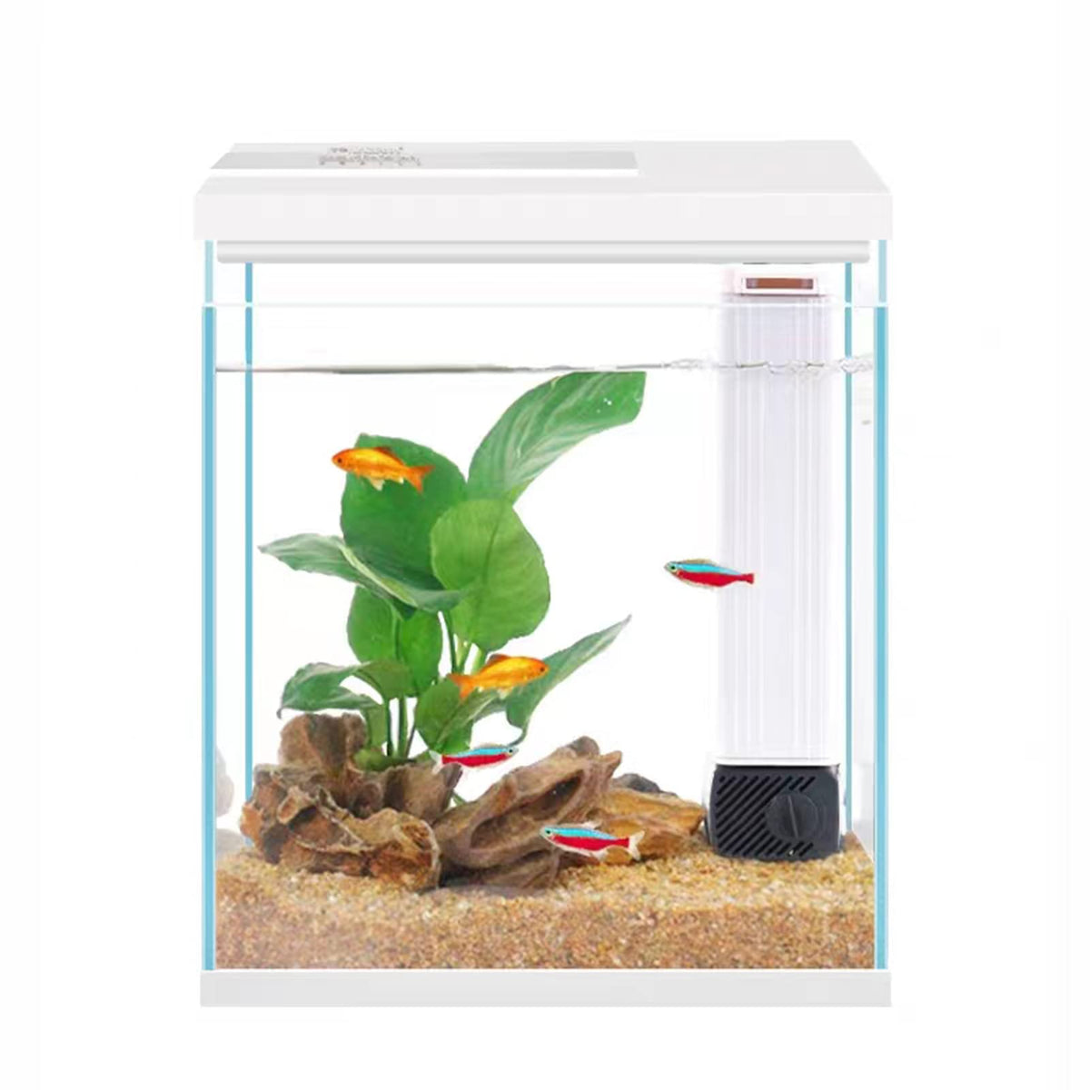 Pronetcus Betta Tank 2-gallon glass offers crystal clarity for easy viewing of fish