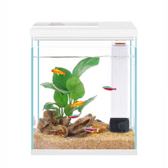 Pronetcus Betta Tank 2-gallon glass offers crystal clarity for easy viewing of fish