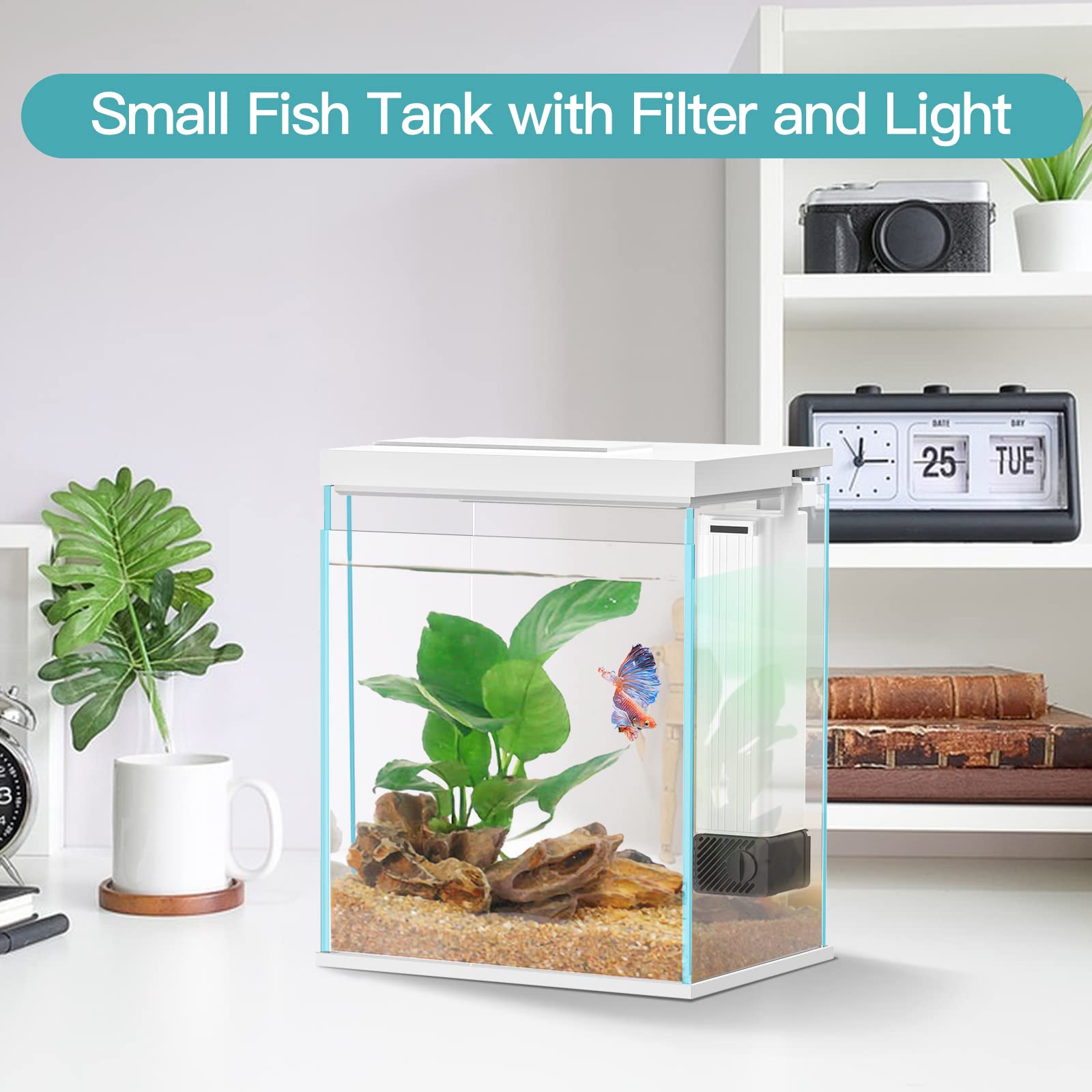 Pronetcus Betta Tank with filter and LED light for bright, healthy habitat