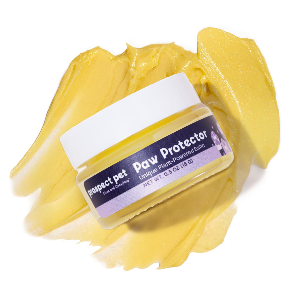 Prospect Pet Paw Protector jar close-up showing smooth balm for dry paw relief.