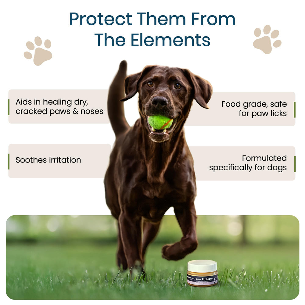Prospect Pet Paw Protector applied to a dog's nose before outdoor time for nose comfort.