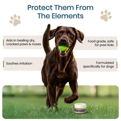 Prospect Pet Paw Protector applied to a dog's nose before outdoor time for nose comfort.
