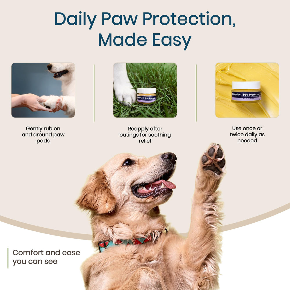 Prospect Pet Paw Protector packaging shows recyclable glass jar.