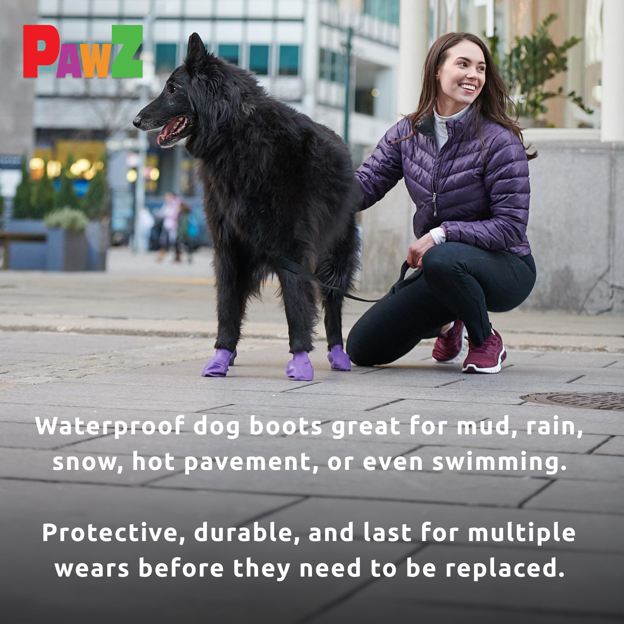 Protex PawZ 12-pack for bulk comfort and replacements.