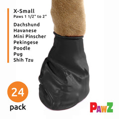 Protex PawZ all-weather boots on paw during outdoor walk
