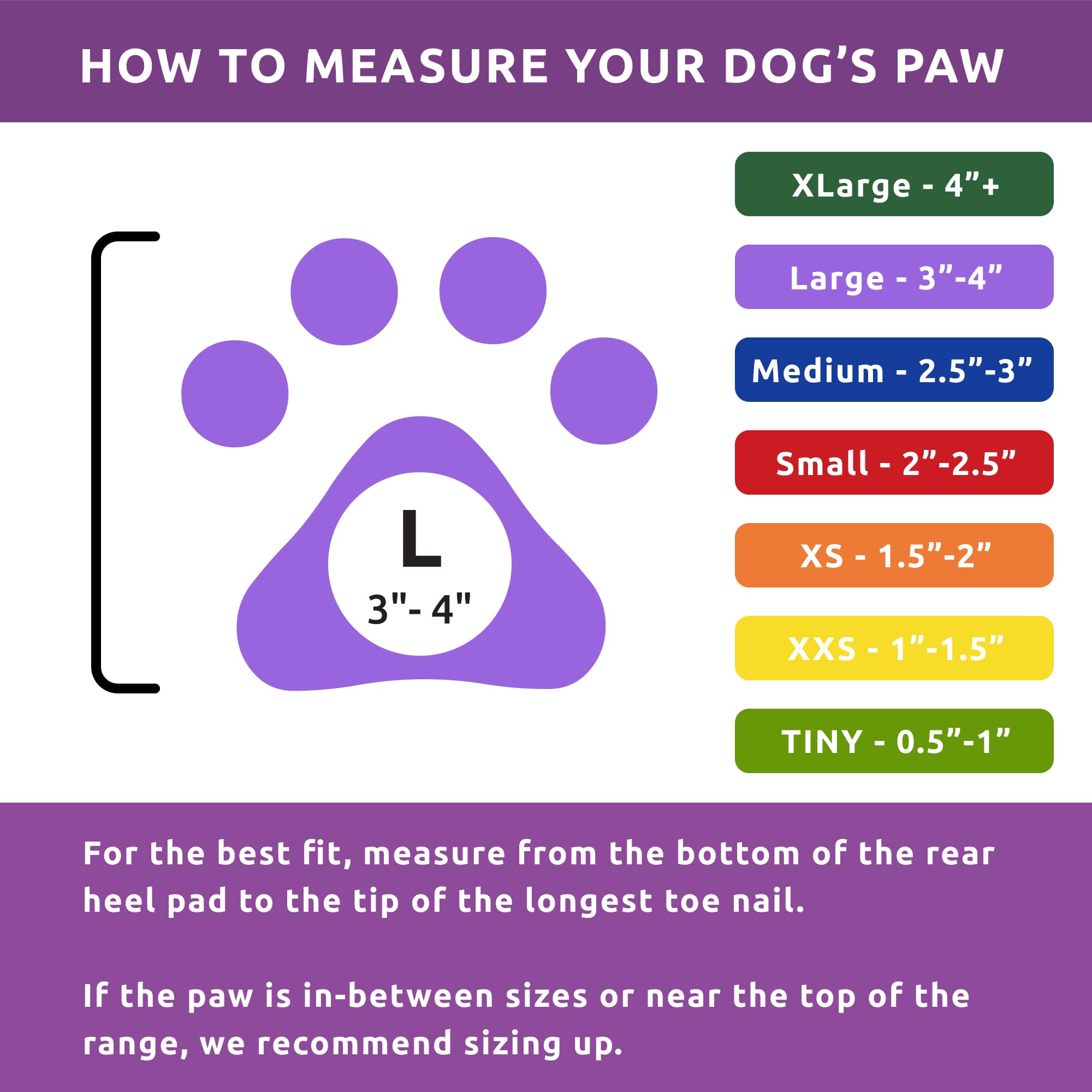 Protex PawZ black dog boots pack-12 shown for versatile outdoor use and value.