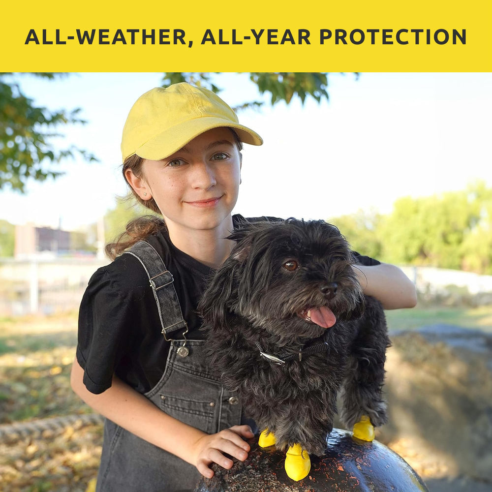 Protex PawZ: botas impermeables para perros, ideales para paseos en exteriores