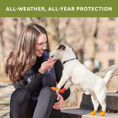 Protex PawZ hot pavement protection shields paws from heat during sunny walks.