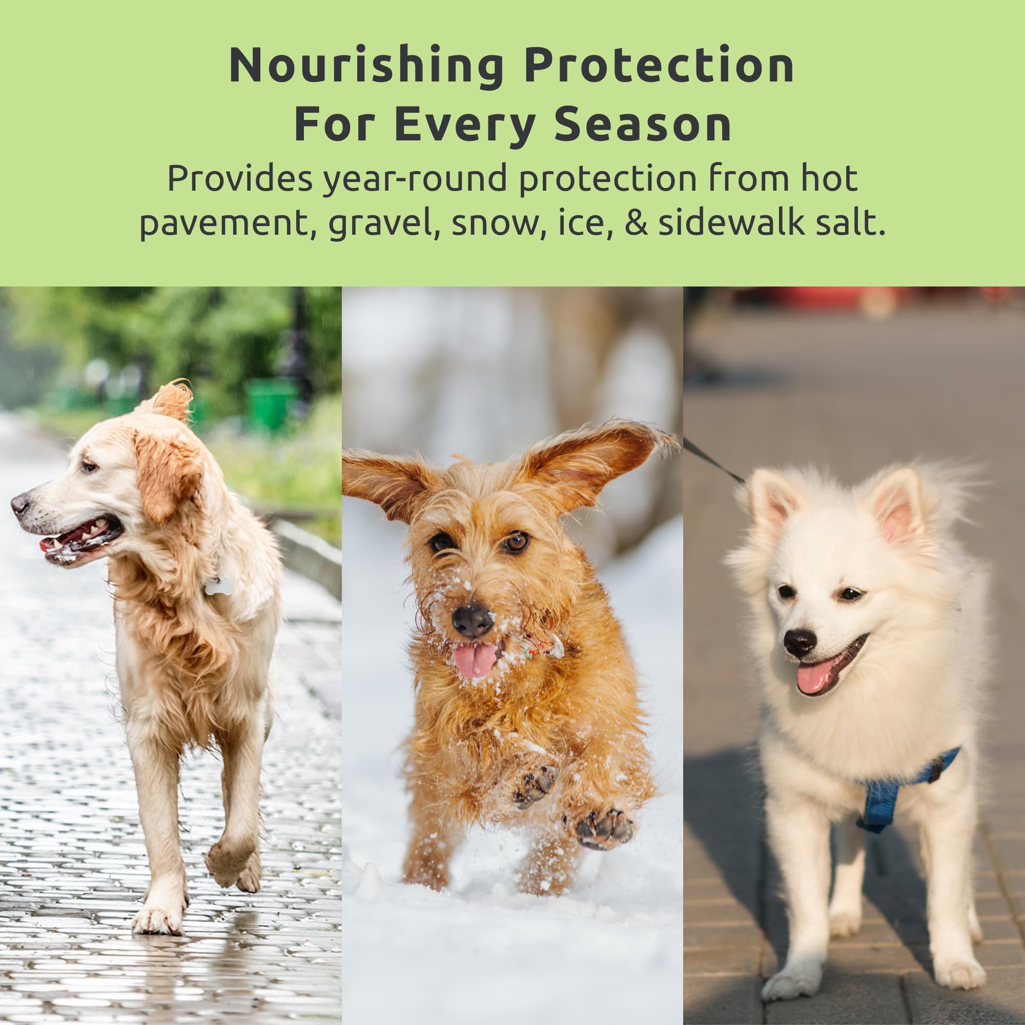 Protex PawZ MaxWax winter protection guards pads from ice melt