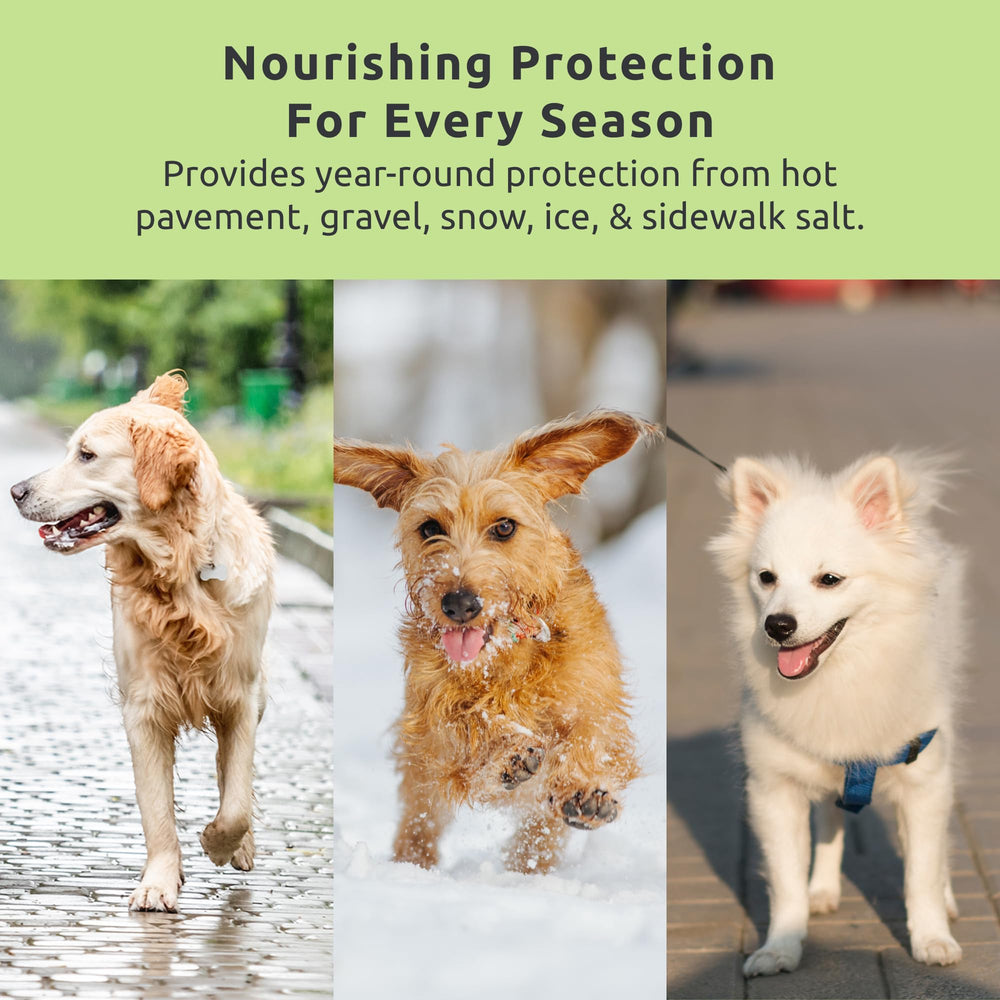 Protex PawZ MaxWax winter protection guards pads from ice melt