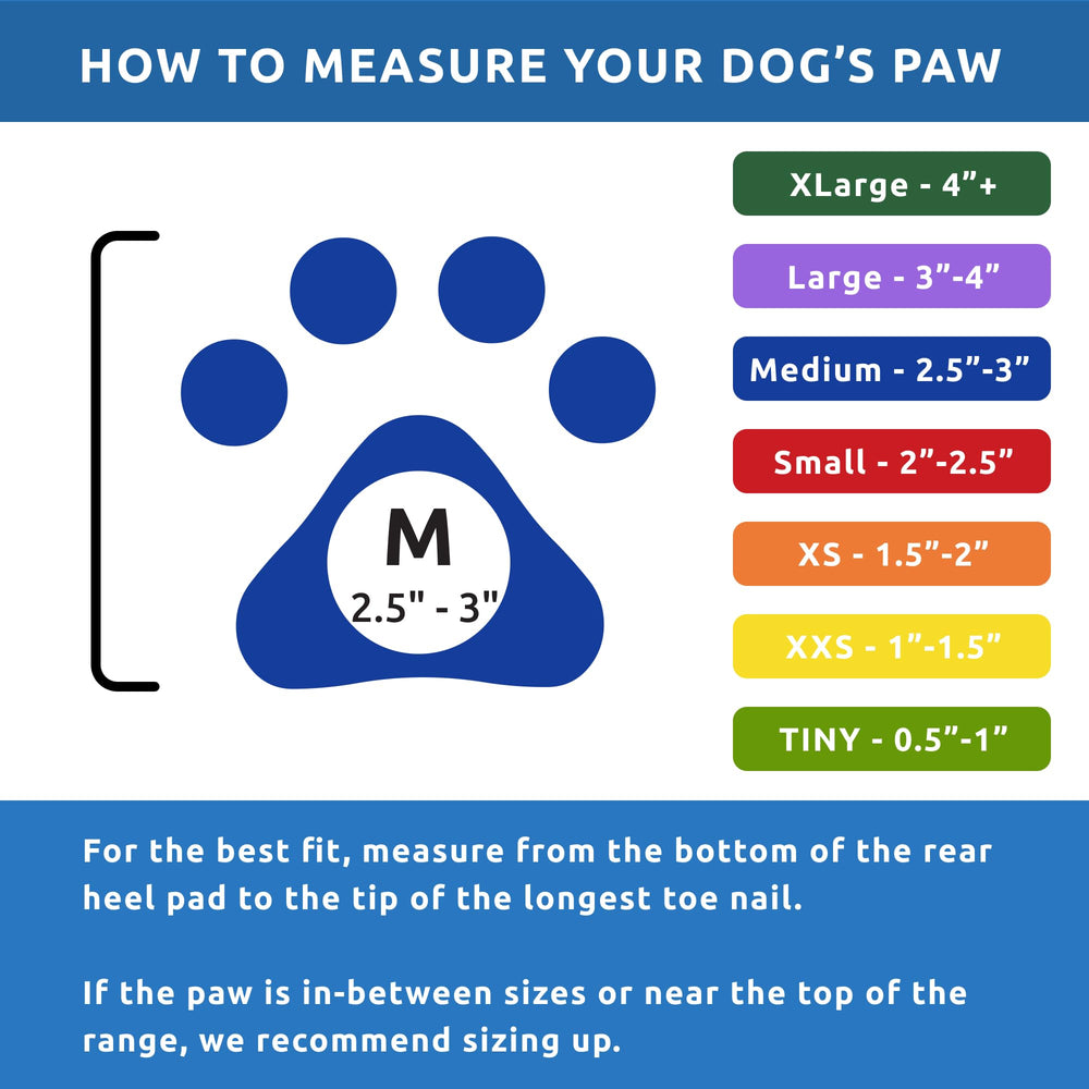 Protex PawZ pack-12-dog-boots offers great value and multiple wear opportunities