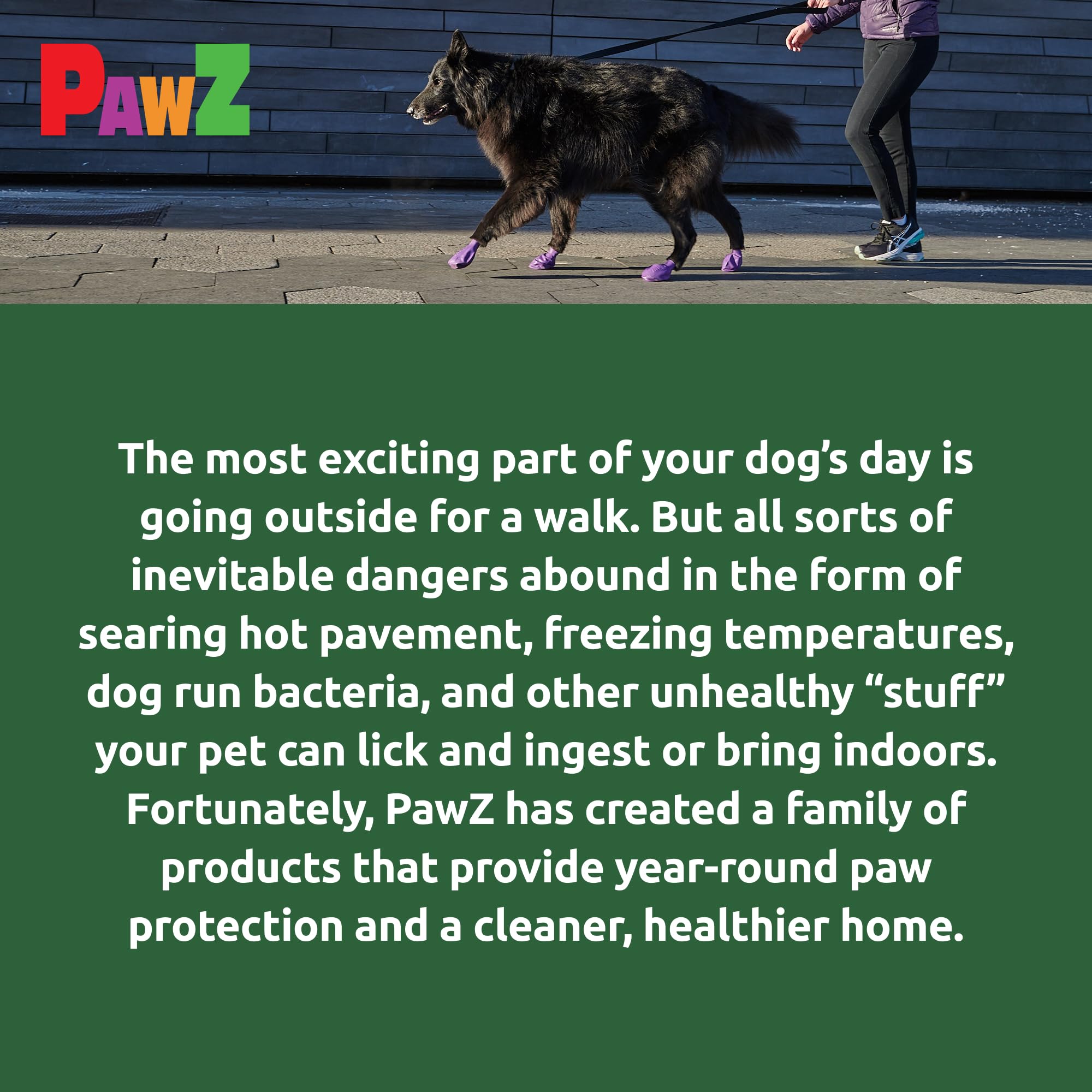 Protex PawZ pack of 12 boots ready for outdoor use