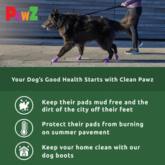 Protex PawZ waterproof boots on rainy path for dry paws