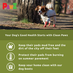 Protex PawZ rubber dog boots waterproof outsole on wet sidewalk demonstrating anti-slip traction